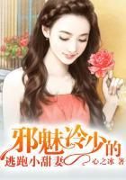 邪魅冷少的替身妻txt微盘