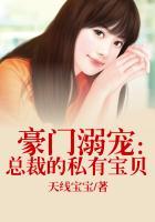 豪门溺宠总裁的私有宝贝免费阅读