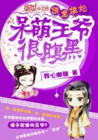 神医傻王妃免费阅读