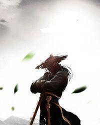 绝对优势理论的主要内容