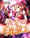 圣光骑士的