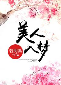 美人入梦来 简谱完整版