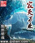 寂灭万乘的简介