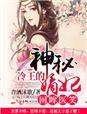 冷王的神秘嫡妃无广告