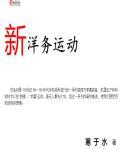 新洋务运动是什么
