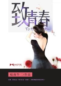 致青春2