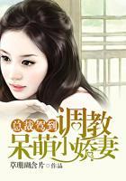 女总裁调教男主