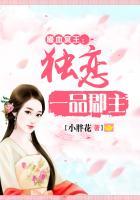 嗜血名媛免费阅读全文