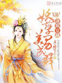 穿越之妖孽美男都爱上我