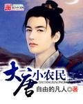 大唐神级小农民免费阅读