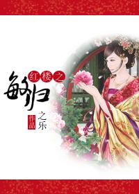 红楼之贾敏觉醒