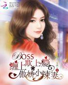 boss上你全文免费阅读