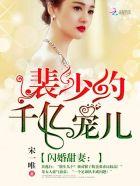 裴少闪婚了短剧免费观看