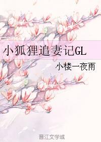 小狐狸撩夫记免费阅读