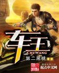 车王大卡旧版本