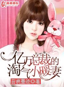 亿万总裁的暖婚新妻