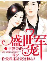 盛世军婚宠妻无上限