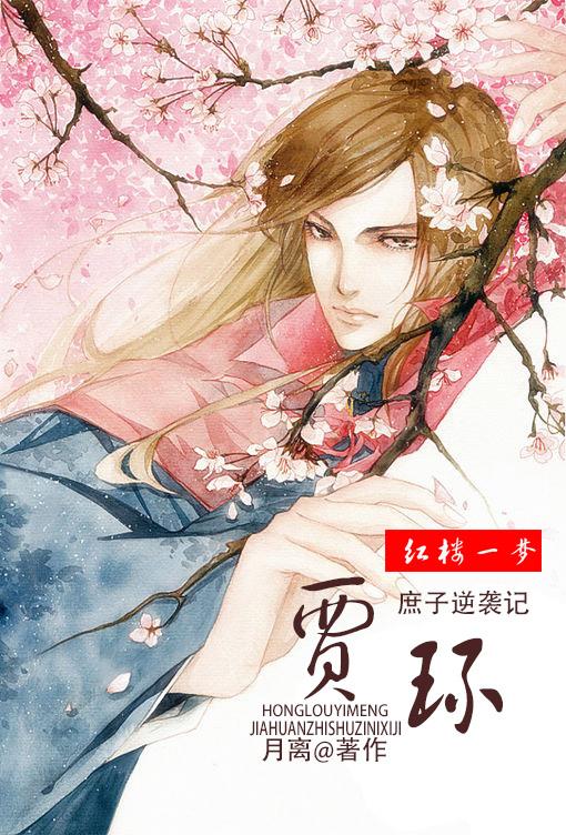 红楼一梦贾环