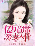 一胎二宝亿万首席爱妻入骨慕雅哲