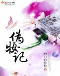 伪妆记笔趣阁