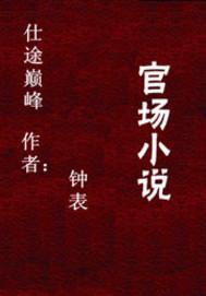 仕途巅峰张华免费阅读全文