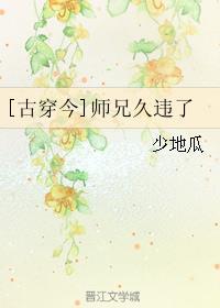 师兄在一起古言