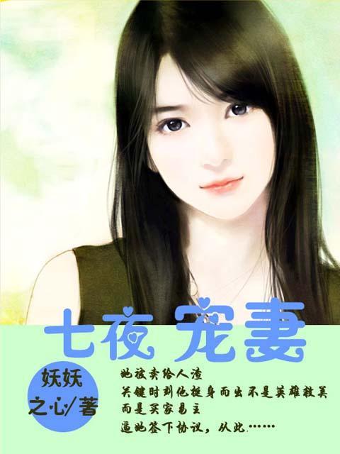 七夜宠妻辛晴全本免费阅读