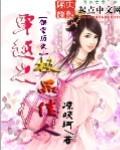 极品佳人全本免费