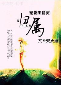 宠物小精灵全角色大图鉴