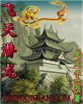 飞天潜龙电视剧在线观看