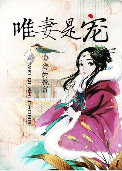 唯爱宠妻免费阅读