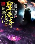 异世界圣者