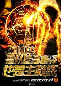 足球 以队医的名义