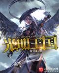 光明王是正版书吗