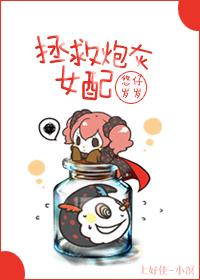 1.拯救炮灰女配