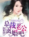 总裁老公离婚吧全文阅读