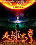 足球大亨2汉化版