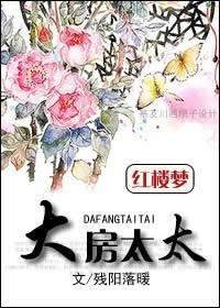 红楼之大房庶长子