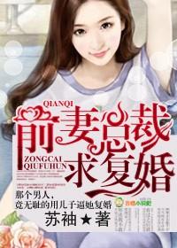总裁前妻求原谅全文阅读