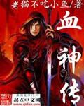 血神传奇游戏记录