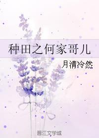 种田之何家哥儿剧透