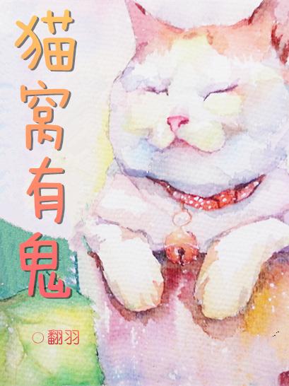 猫窝是阴气最重的东西吗