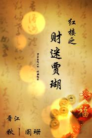 红楼之贾家小财神txt八零电子书
