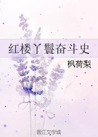 红楼丫鬟奋斗史 血红