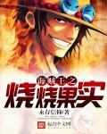 海贼从烧烧果实开始无敌笔趣阁