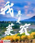 我真是编剧我是菜农