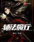辅法王座 全石