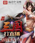 三国来了 攻略