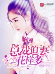 总裁追妻,花样多!